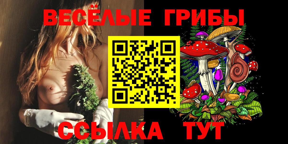 Галлюциногенные грибы мицелий  закладки  Великий Устюг  Вход с VPN 